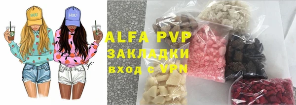 крисы Козельск