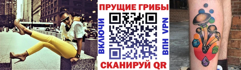 Псилоцибиновые грибы GOLDEN TEACHER  KRAKEN как войти  Красноярск  купить  сайты 